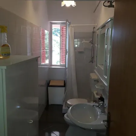 Lidia